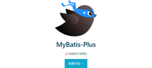Mybatis Plus数据字段名带下划线读取的值为null-零一物语