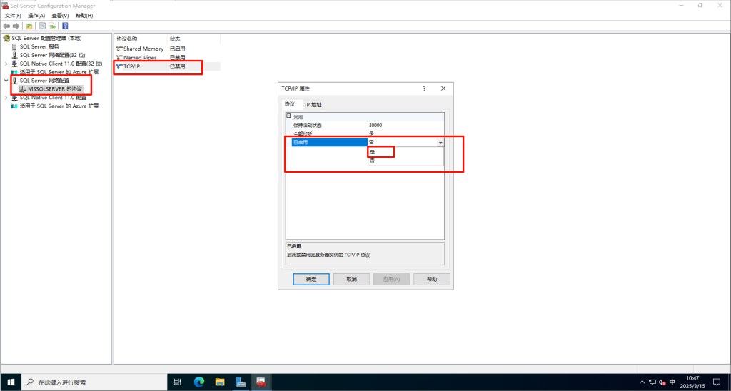 20250315104737856-image